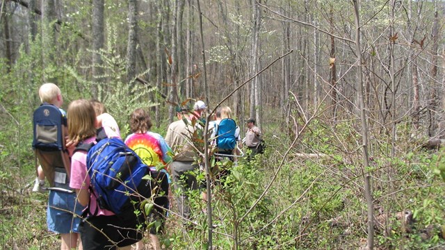 a group of people following a park ranger in the woods.