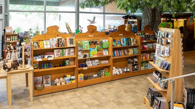 A top view of the park gift shop showcasing bookcases with products.