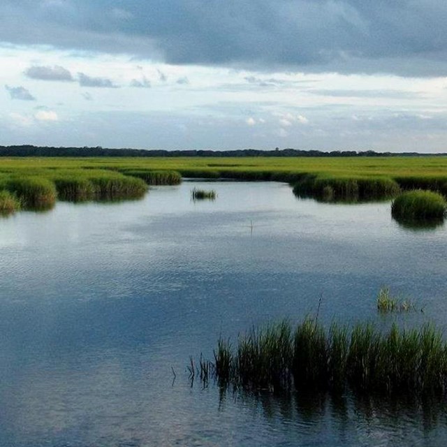 salt marsh under cloudy skies