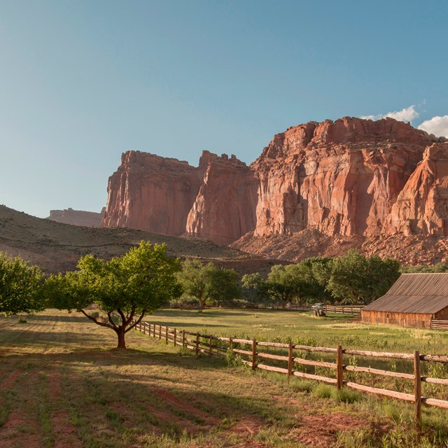 Orchards, cliffs, a barn, and a wooden fence glow in late day sun at Fruita.