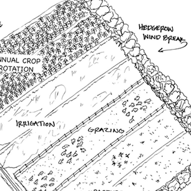 Conceptual site plan shows the farm organized around its historical patterns.
