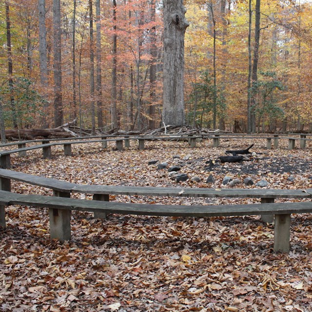 Simple wooden benches ring a fire pit under autumn trees at Prince William Forest Park.