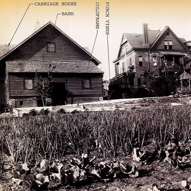 A labeled photograph, ca. 1910, shows two houses, outbuildings, and a garden at rear of the Oakss