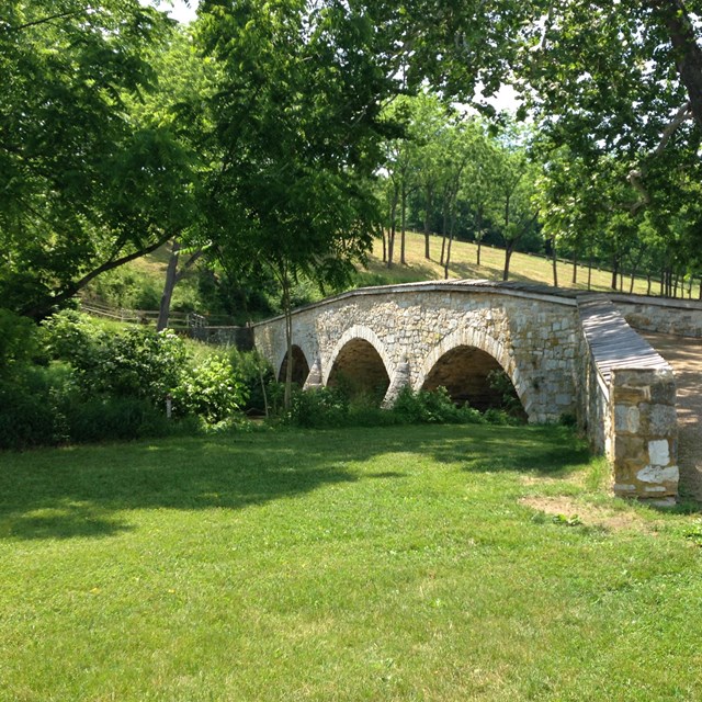 Grass and trees surround the low stone arches that carry the Burnside Bridge.