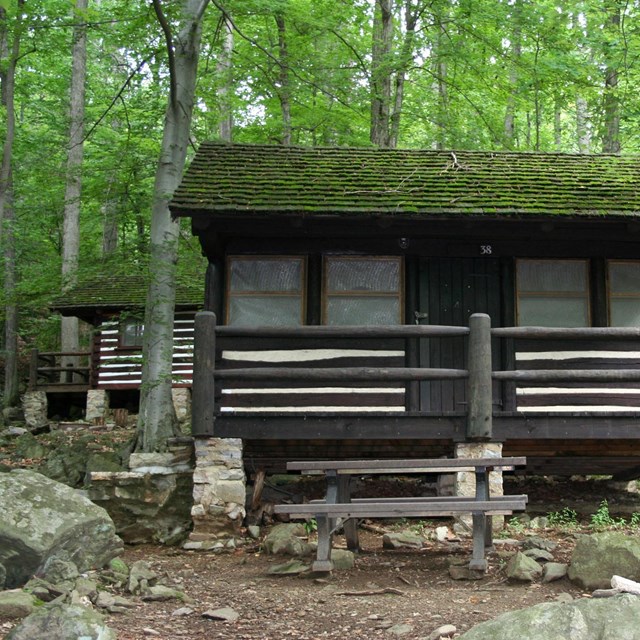 Log cabin on a slope in the woods at Camp Misty Mount