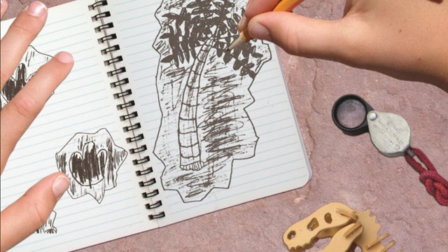 A hand holds a pencil and draws a fossil on a white paper. Small objects are next to the notebook.