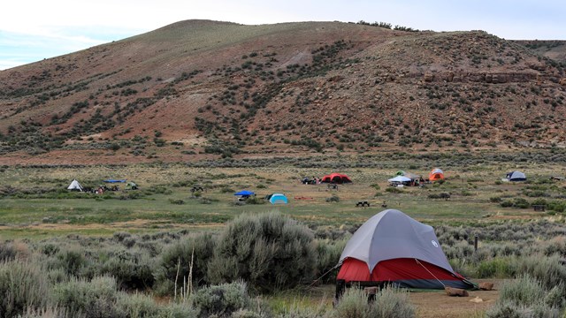 Various sized and colored tents in a large campground near a tall mesa