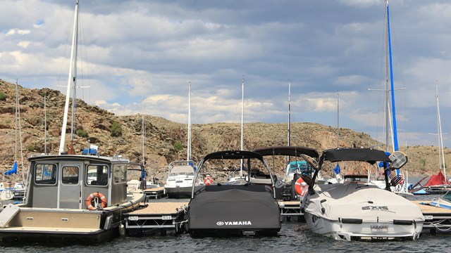 Boats of different sizes and colors lined up in slips at a marina