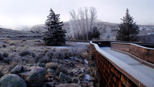 A walkway with railings is covered with a dusting of snow. Trees and shrubs are in the background.