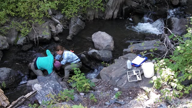 Two people stand in a stream surrounded by rocks and vegetation to conduct water quality monitoring