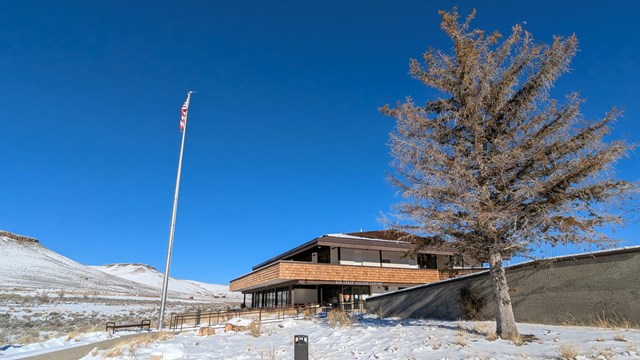 A building with brown roofing and a concrete walkway in front. A large tree and flagpole in front.