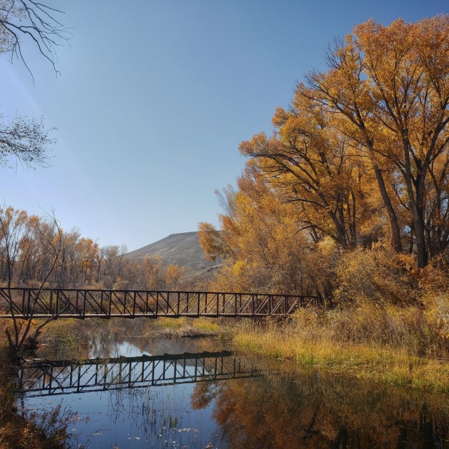 A bridge crosses a river. Trees and shrubs with fall foliage are on the riverbank.