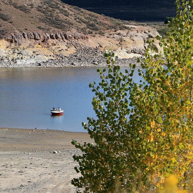 A small white and red boat floats on blue water. Yellow trees are in the foreground.