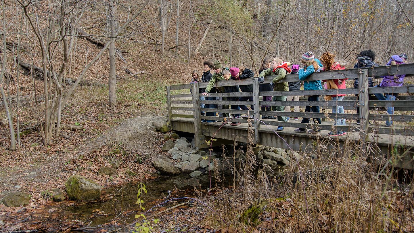 Students peer over the railing of a bridge at a stream below as a ranger gestures toward the water