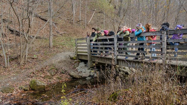 Students peer over the railing of a bridge at a stream below as a ranger gestures toward the water