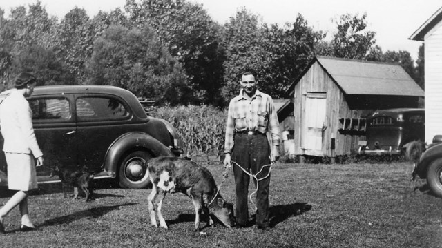 A man stands with a leashed young cow, with fields, old cars, and outbuildings behind him.