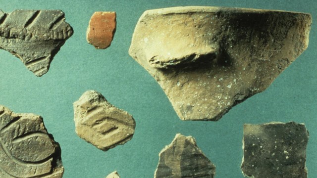 Eight pottery fragments of various shapes, sizes, and patterns arranged on a green background.