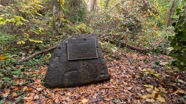 plaque embedded in a stone