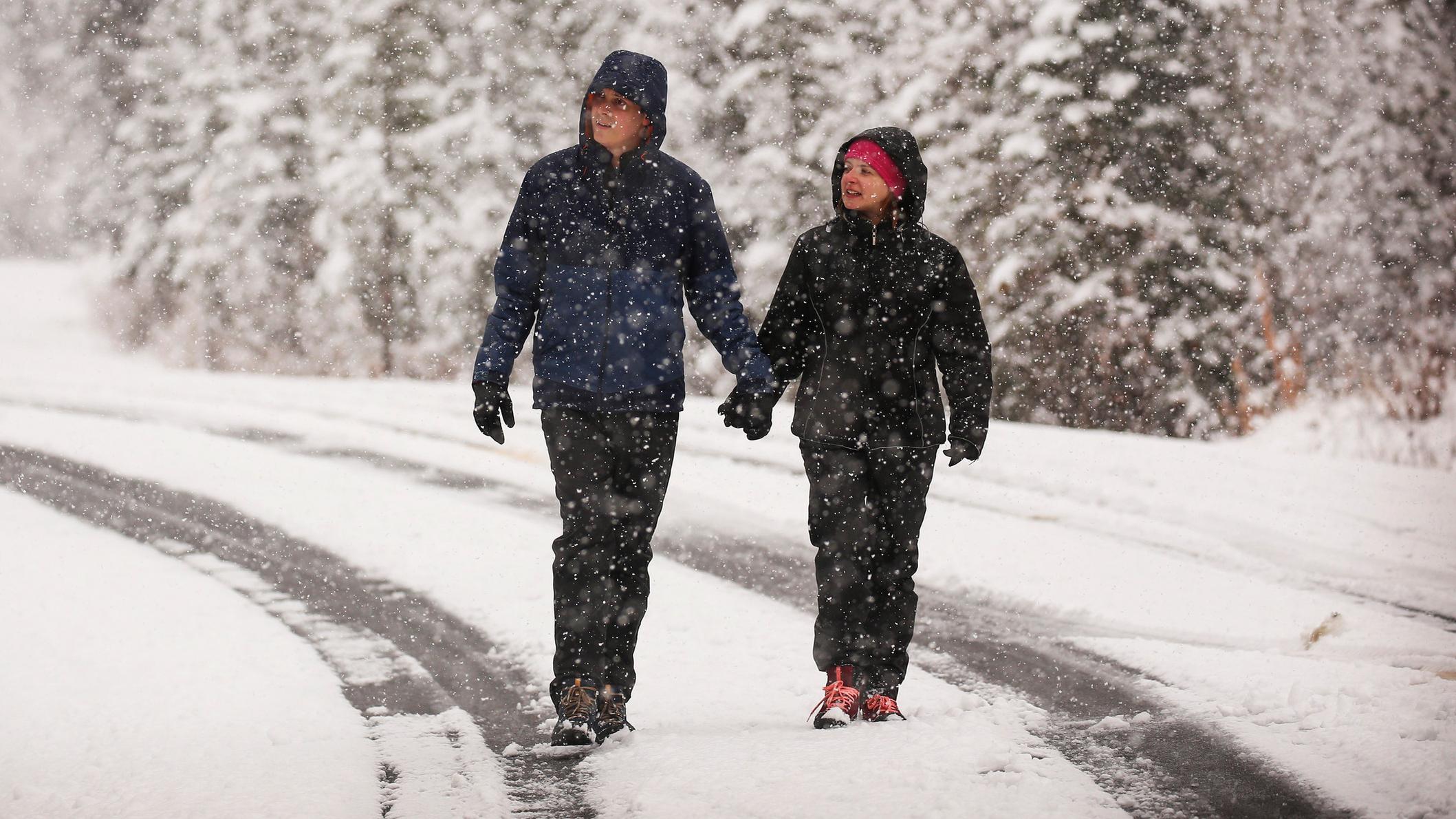 Two people walk down a snowy road with snowy trees in the snow