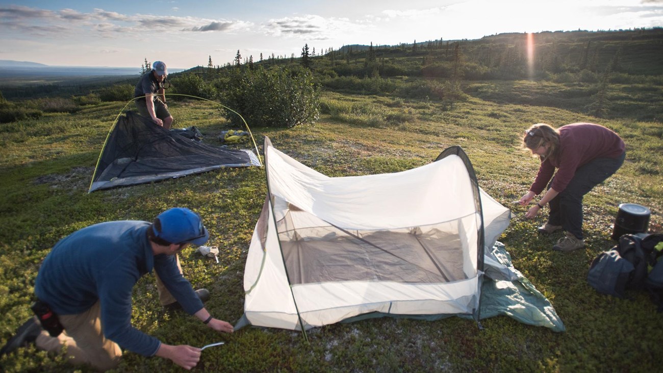 people setting up tents in a grassy meadow
