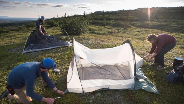 People setting up tents in the sun