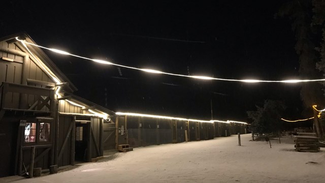 Lights strung up around a snowy dog yard illuminate a wooden building on a dark night.