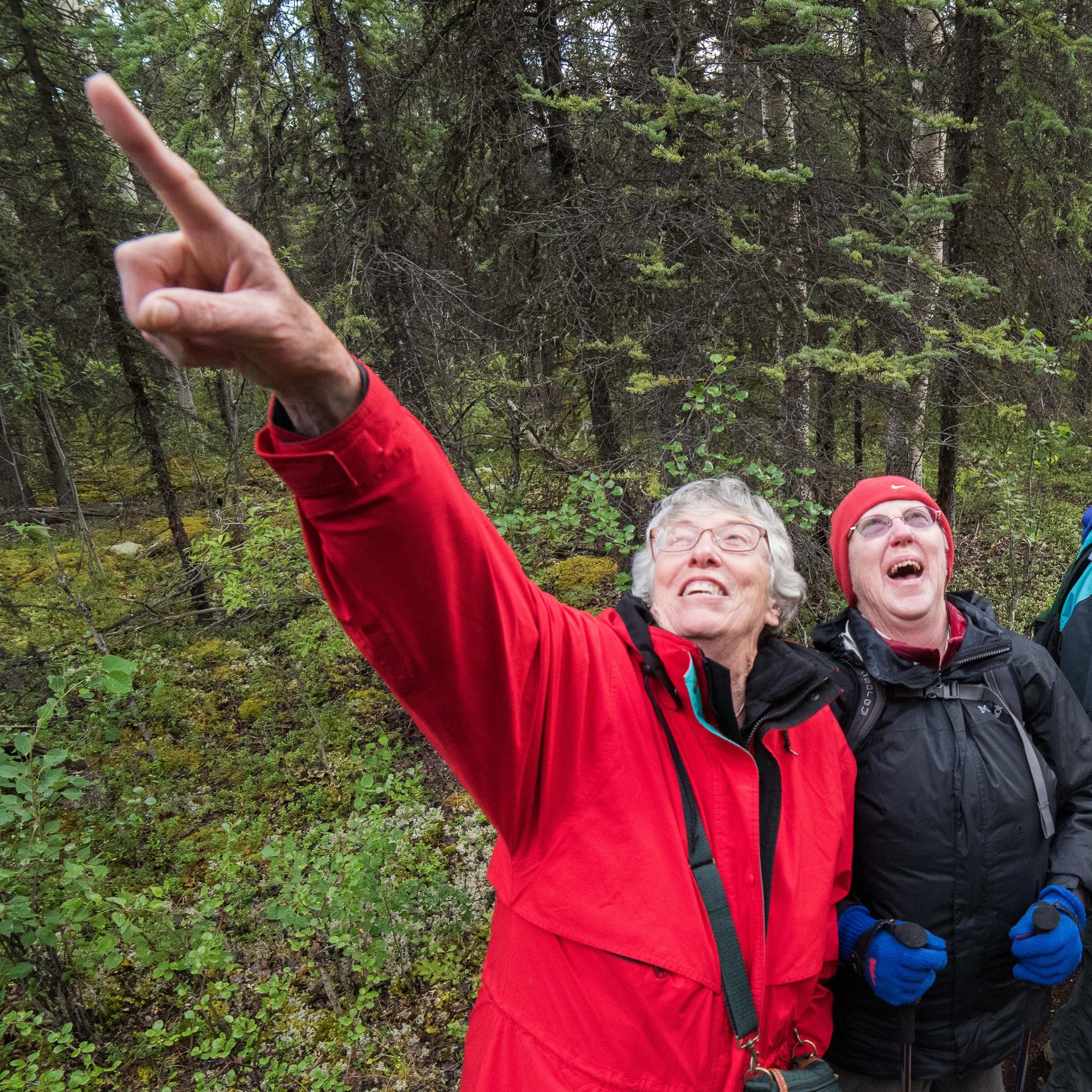 Visitors pause to observe a bird overhead