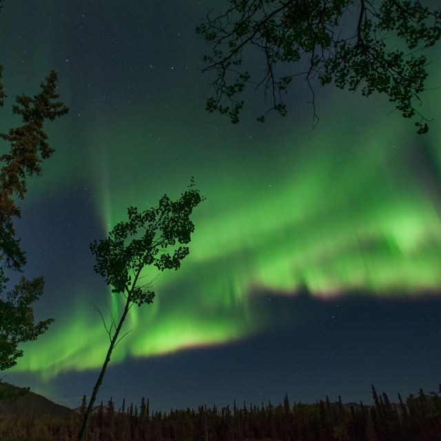 green aurora borealis in a dark night sky