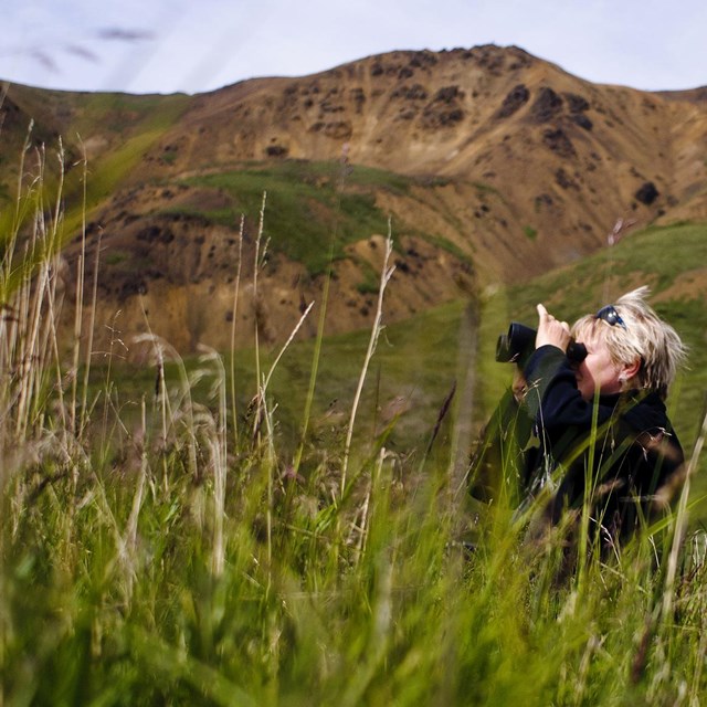 a woman uses her binoculars while hiding in tall grass