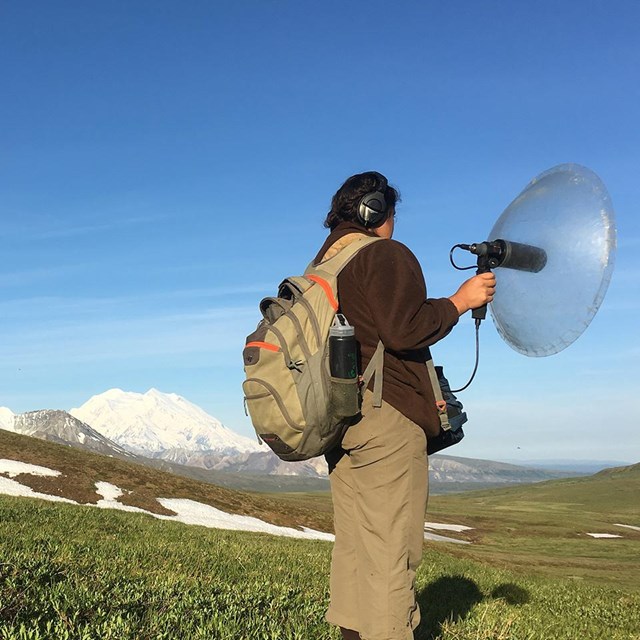researcher holds sound equipment with mount denali in the background