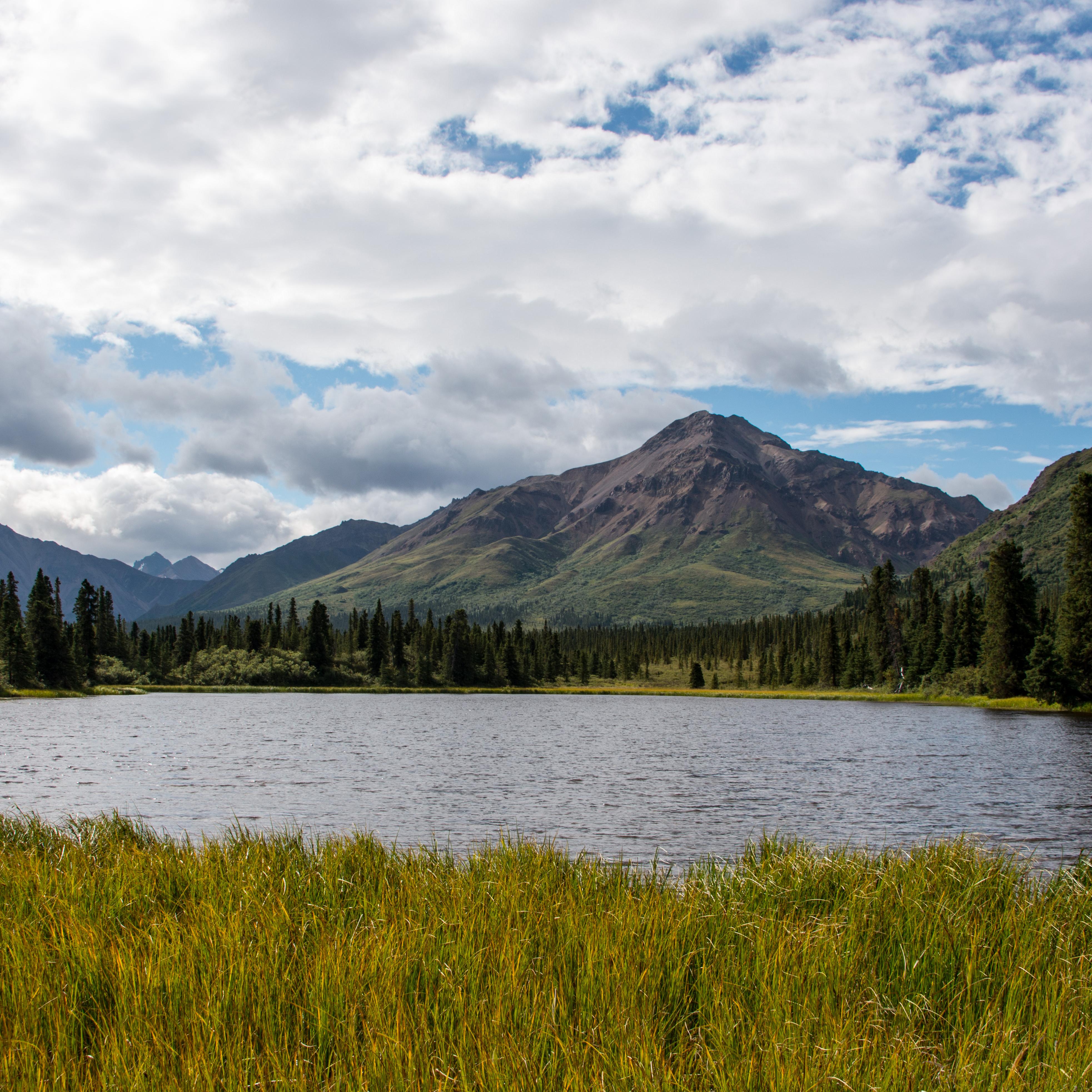 a pond near spruce trees and mountains