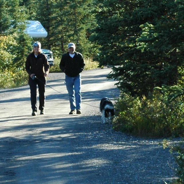 Two people walk a leashed dog down a gravel road surrounded by green trees and brush.
