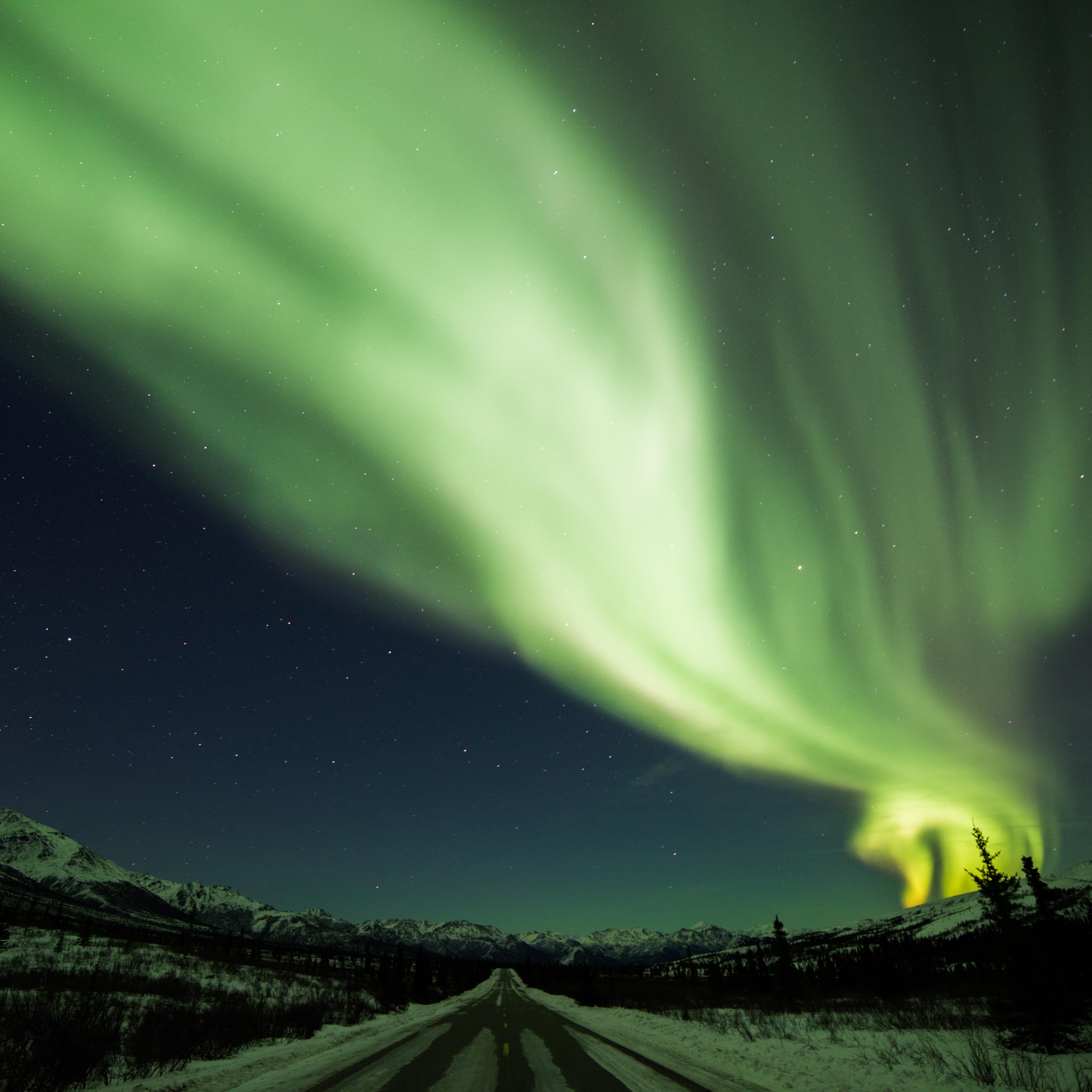 green aurora over a snowy, forested road