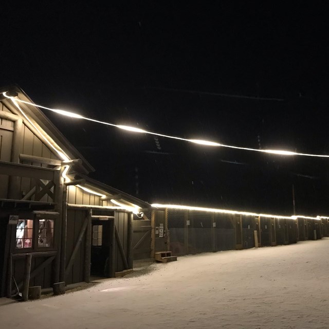 dark night in a snowy dog-yard with lights illuminating a building