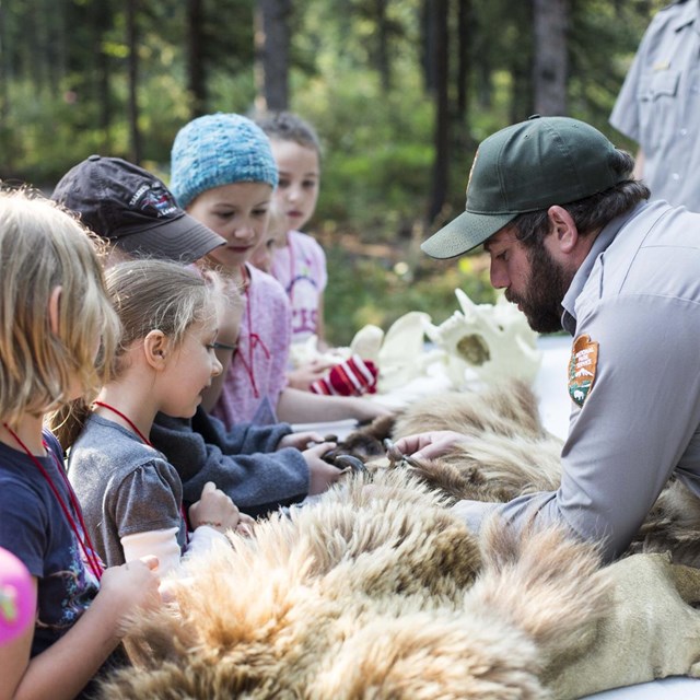 A group of campers examine a bear pelt with a park ranger