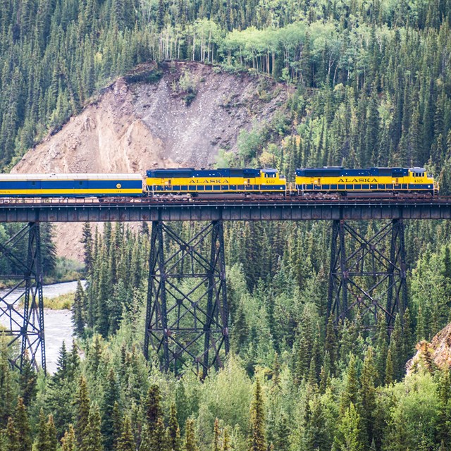 a blue and gold colored train on a railroad bridge high above a forested creek