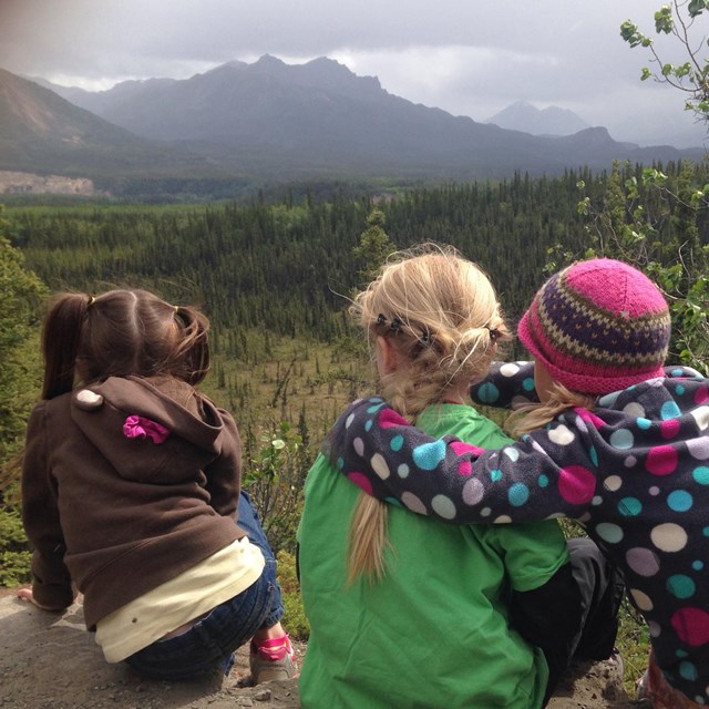 three small kids sitting at an overlook above a forested meadow