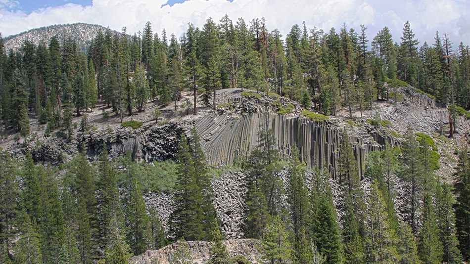 From a distance, tall basalt columns form the Devils Postpile formation and is surrounded by trees.