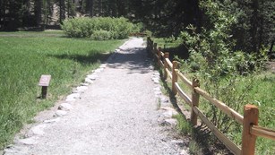A trail leads to a forested area.