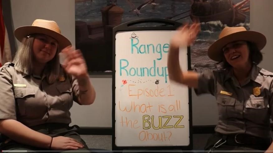 Many Topics from fishing to History