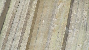 close up of vertical columns of rock that makes up Devils Tower