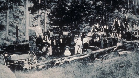 Image of 1983 Settlers' Picnic