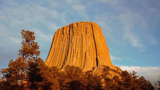 Devils Tower looms 867 feet above the trees.