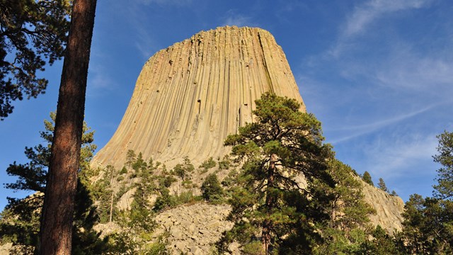 Devils Tower looms 867 feet above the trees.