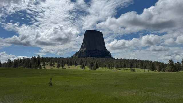 Devils Tower in the background with a grassy field in the foreground. 