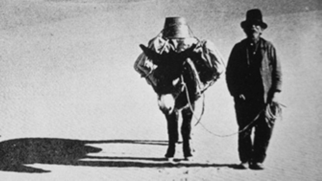 A man stands next to his trusty mule in the open desert. 