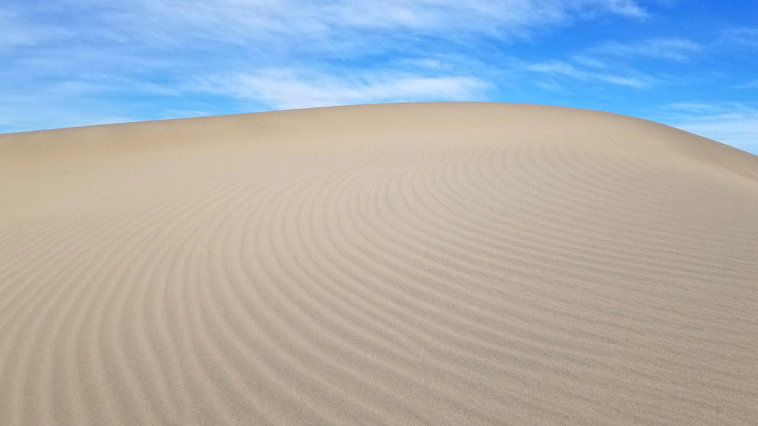 Ripples of sand curve across the top of a sand dune under a blue sky.