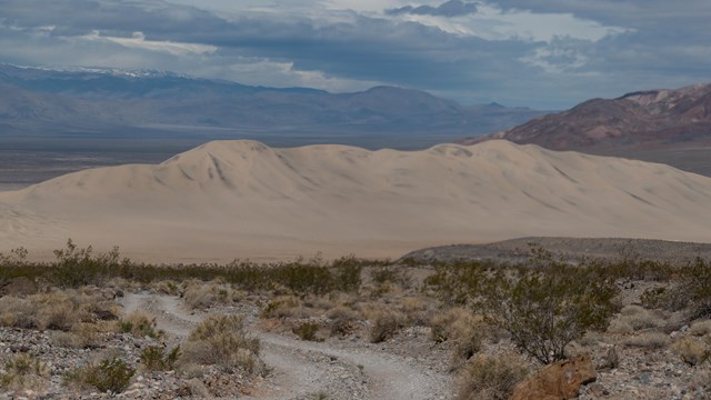 A dirt road leads to a distant towering sand dune in a desert valley.