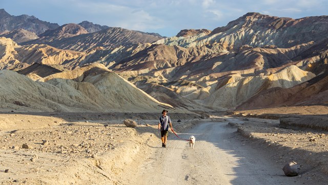 A hiker walks a dog on leash down a dirt road surrounded by badland hills.