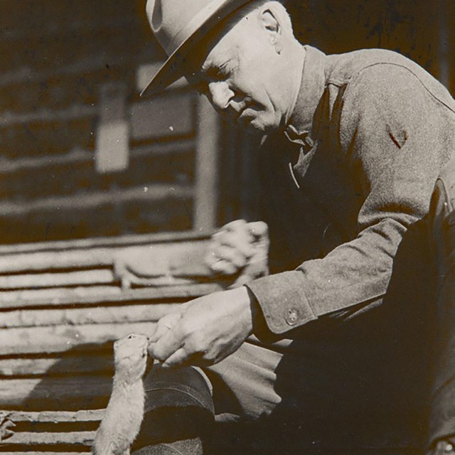 A man, Stephen Mather, in a uniform and hat sits on the ground, feeding a small animal.